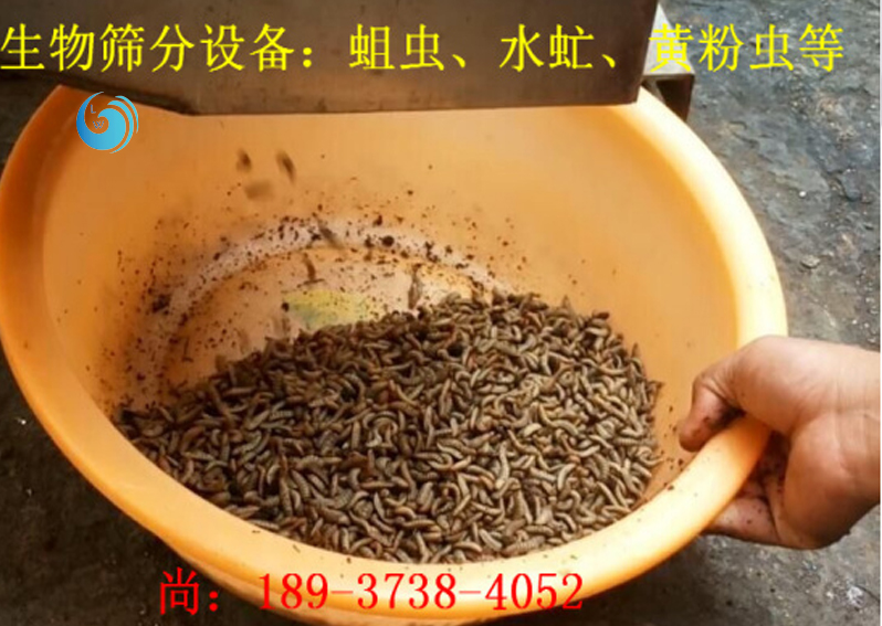 蛆虫筛选3层91短视频污污网站免费